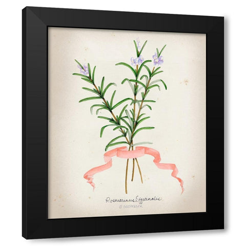 Herb Series III Black Modern Wood Framed Art Print with Double Matting by Goldberger, Jennifer