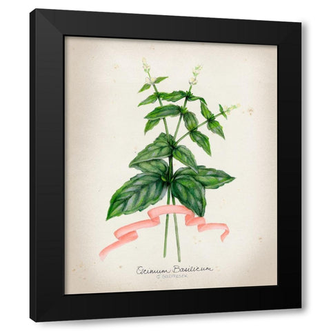 Herb Series IV Black Modern Wood Framed Art Print by Goldberger, Jennifer