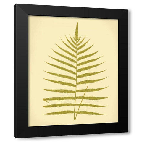 Lowes Fern IV Black Modern Wood Framed Art Print by Lowe, E.J.