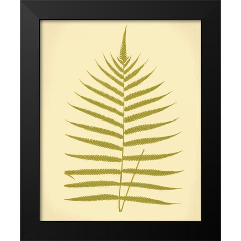 Lowes Fern IV Black Modern Wood Framed Art Print by Lowe, E.J.