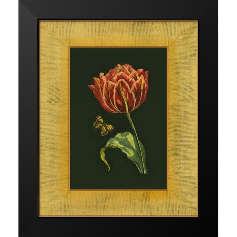 Tulip in Frame III Black Modern Wood Framed Art Print by Unknown
