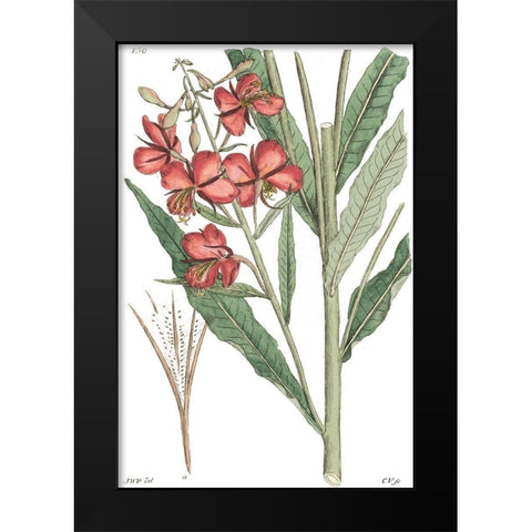 Antique Floral Plate III Black Modern Wood Framed Art Print by Vision Studio