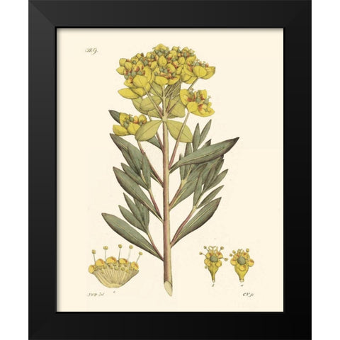 Antique Floral Plate V Black Modern Wood Framed Art Print by Vision Studio