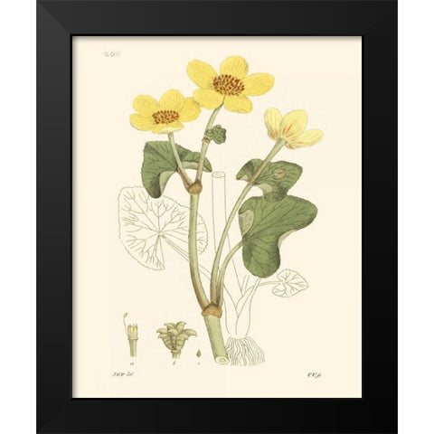 Antique Floral Plate VII Black Modern Wood Framed Art Print by Vision Studio