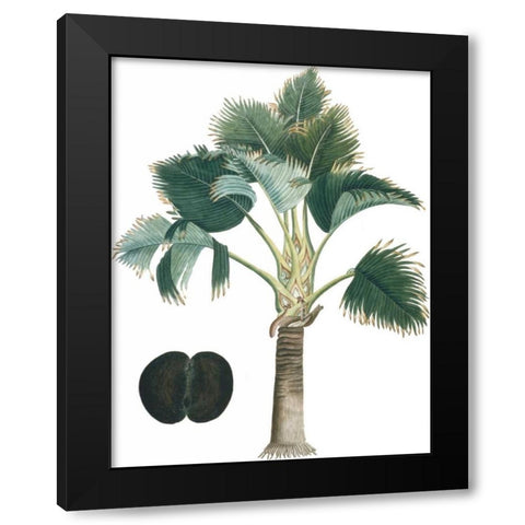 Exotic Palms III Black Modern Wood Framed Art Print by Vision Studio