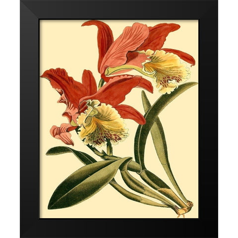 Mini Orchid Splendor IV Black Modern Wood Framed Art Print by Vision Studio