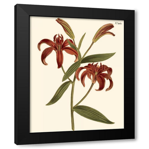 Fiery Florals I Black Modern Wood Framed Art Print with Double Matting by Curtis