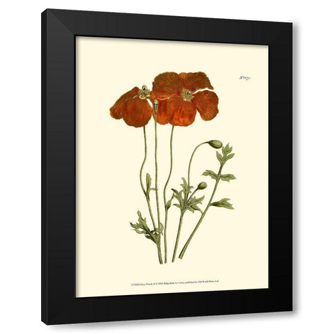 Fiery Florals II Black Modern Wood Framed Art Print with Double Matting by Curtis