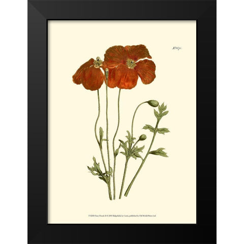 Fiery Florals II Black Modern Wood Framed Art Print by Curtis