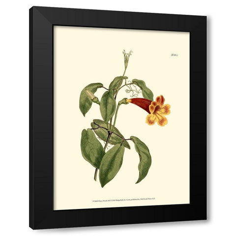 Fiery Florals III Black Modern Wood Framed Art Print by Curtis