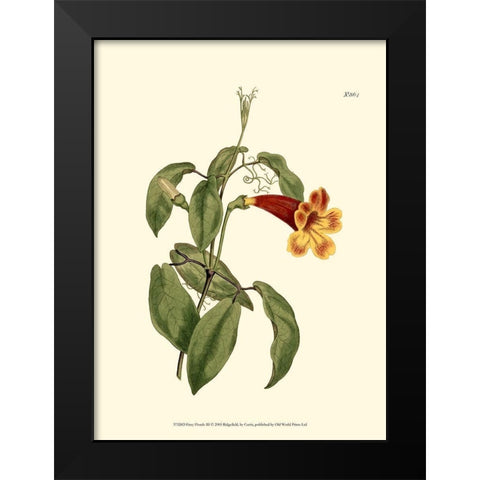 Fiery Florals III Black Modern Wood Framed Art Print by Curtis