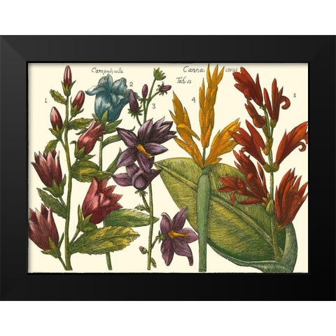Printed Arena Botanical III Black Modern Wood Framed Art Print by Vision Studio