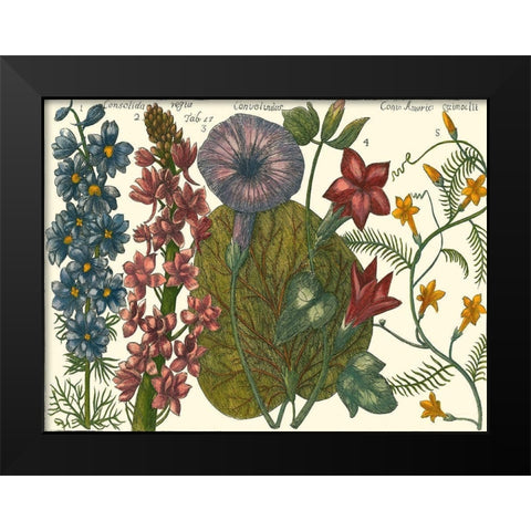 Printed Arena Botanical IV Black Modern Wood Framed Art Print by Vision Studio