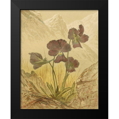 Alpine Florals I Black Modern Wood Framed Art Print by Vision Studio