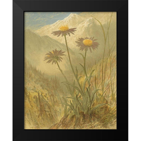 Alpine Florals III Black Modern Wood Framed Art Print by Vision Studio