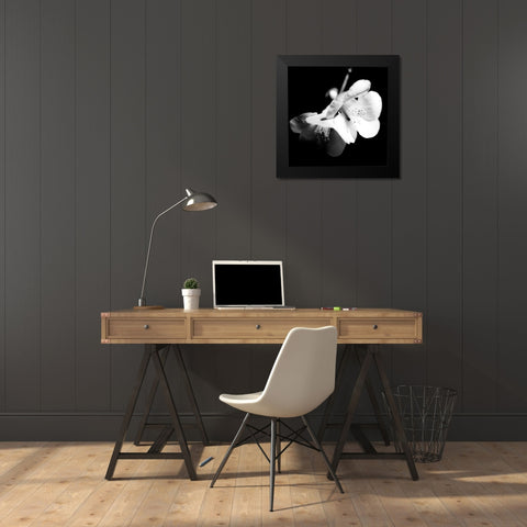 Quince Blossoms I Black Modern Wood Framed Art Print by Stramel, Renee W.