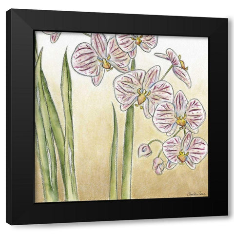 Sunset Garden IV Black Modern Wood Framed Art Print with Double Matting by Zarris, Chariklia