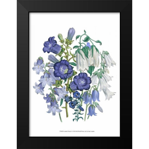 Loudon Florals I Black Modern Wood Framed Art Print by Loudon, Jane