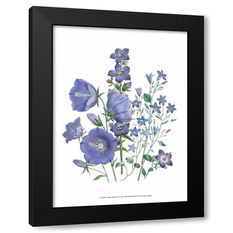 Loudon Florals II Black Modern Wood Framed Art Print with Double Matting by Loudon, Jane