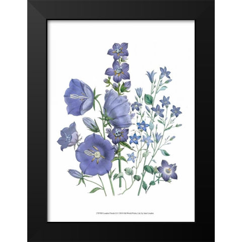 Loudon Florals II Black Modern Wood Framed Art Print by Loudon, Jane