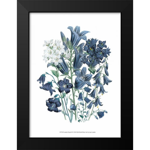 Loudon Florals III Black Modern Wood Framed Art Print by Loudon, Jane