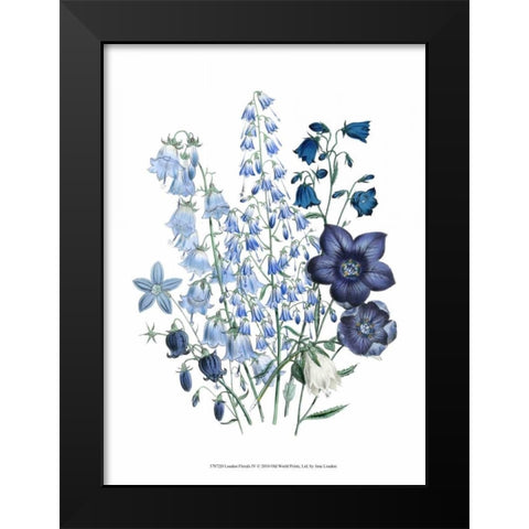 Loudon Florals IV Black Modern Wood Framed Art Print by Loudon, Jane