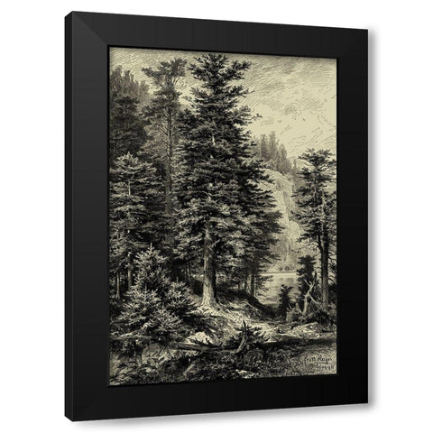 Noble Fir Black Modern Wood Framed Art Print with Double Matting by Heyn, Ernst