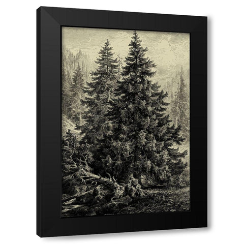 Spruce Pine Black Modern Wood Framed Art Print by Heyn, Ernst