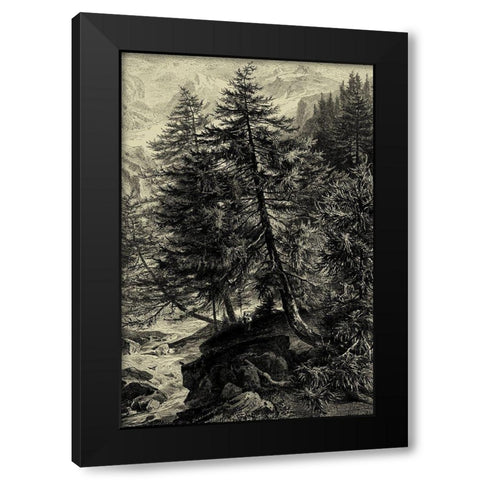 Larch Tree Black Modern Wood Framed Art Print by Heyn, Ernst