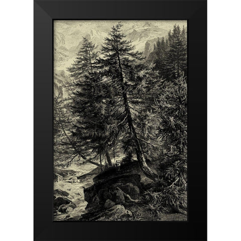 Larch Tree Black Modern Wood Framed Art Print by Heyn, Ernst