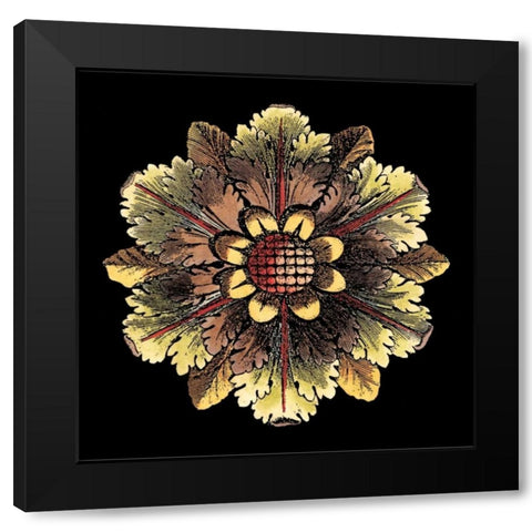 Rosette on Black I Black Modern Wood Framed Art Print by Antonini, Da Carlo
