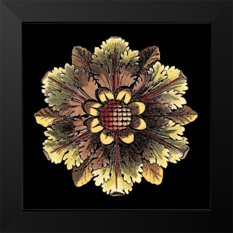 Rosette on Black I Black Modern Wood Framed Art Print by Antonini, Da Carlo