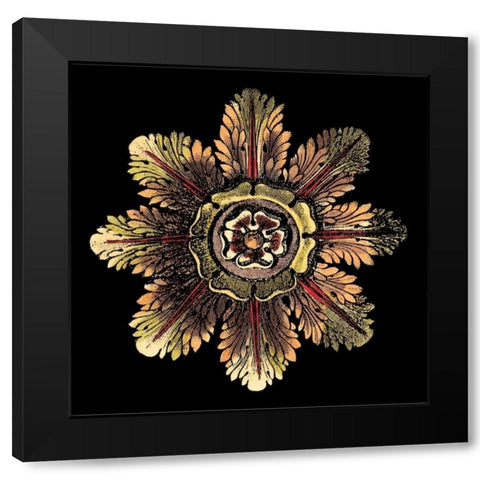 Rosette on Black II Black Modern Wood Framed Art Print by Antonini, Da Carlo