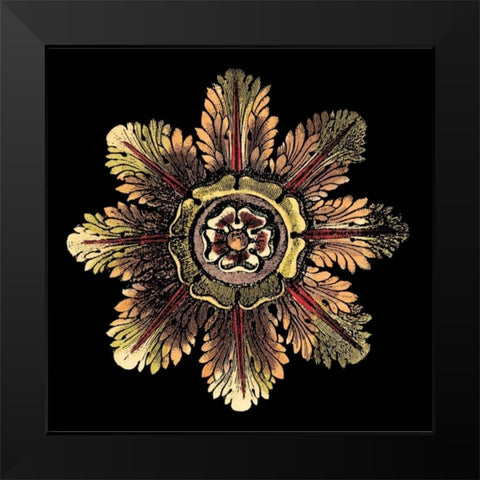 Rosette on Black II Black Modern Wood Framed Art Print by Antonini, Da Carlo