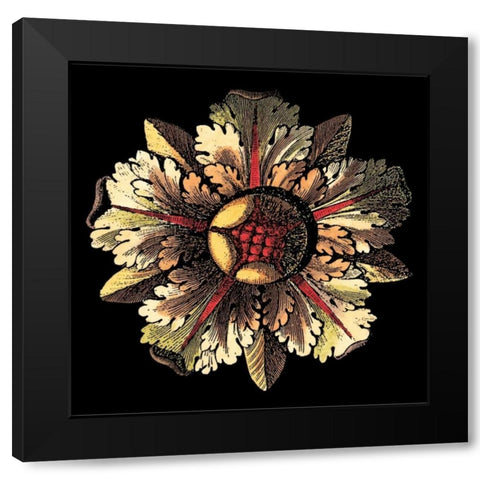 Rosette on Black III Black Modern Wood Framed Art Print by Antonini, Da Carlo