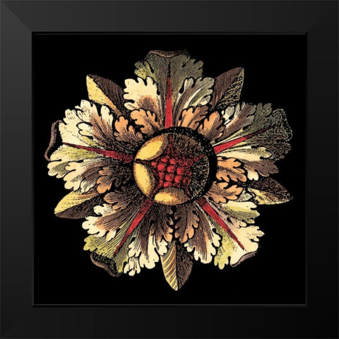 Rosette on Black III Black Modern Wood Framed Art Print by Antonini, Da Carlo