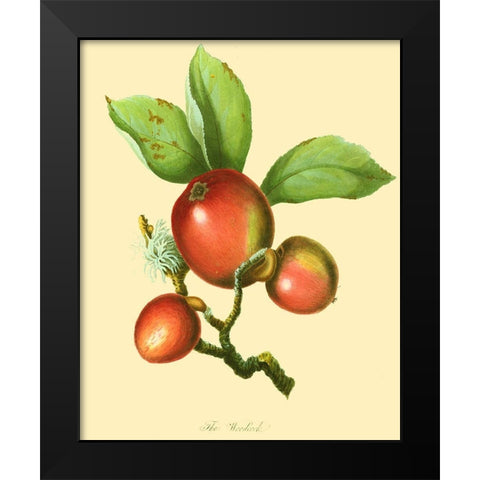 The Woodcock Black Modern Wood Framed Art Print by Unknown