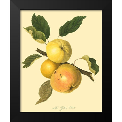 The Yellow Elliot Black Modern Wood Framed Art Print by Unknown