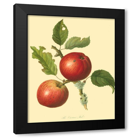 The Cowarne Red Black Modern Wood Framed Art Print by Unknown
