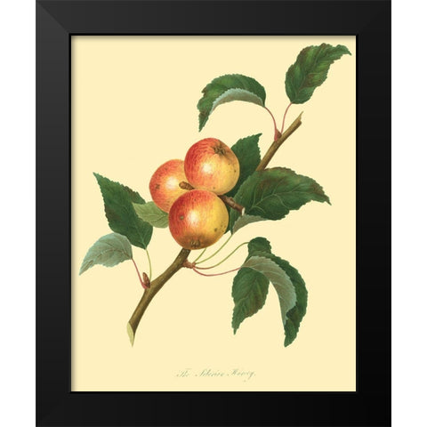 The Siberian Harvey Black Modern Wood Framed Art Print by Unknown