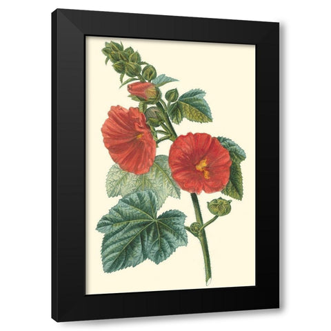 Crimson Beauty II Black Modern Wood Framed Art Print with Double Matting by Turpin