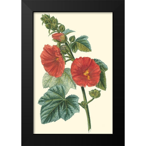 Crimson Beauty II Black Modern Wood Framed Art Print by Turpin