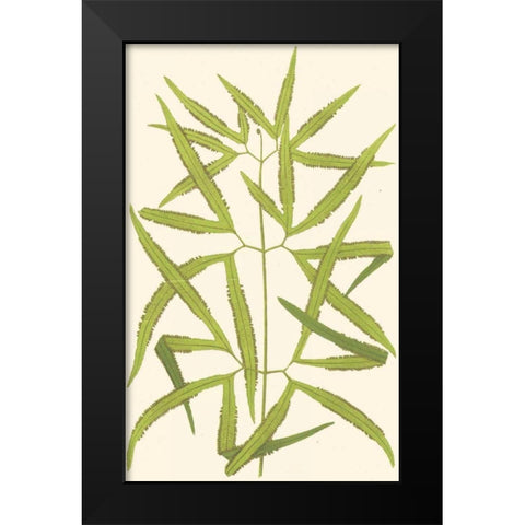 Woodland Ferns I Black Modern Wood Framed Art Print by Lowe, E. J.