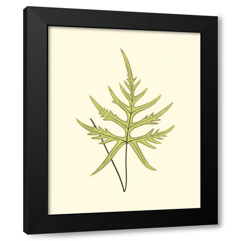Woodland Ferns IV Black Modern Wood Framed Art Print with Double Matting by Lowe, E. J.