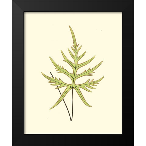 Woodland Ferns IV Black Modern Wood Framed Art Print by Lowe, E. J.