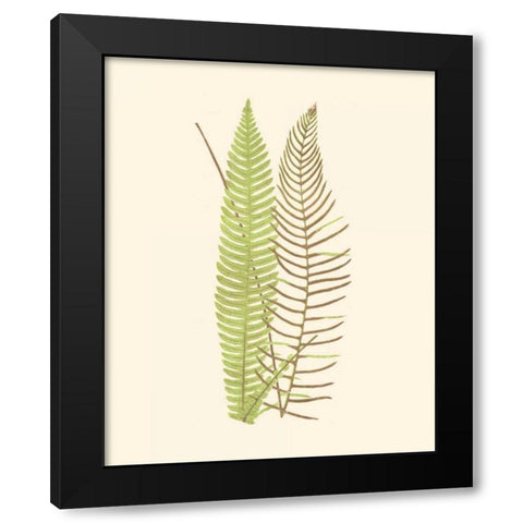 Woodland Ferns V Black Modern Wood Framed Art Print with Double Matting by Lowe, E. J.