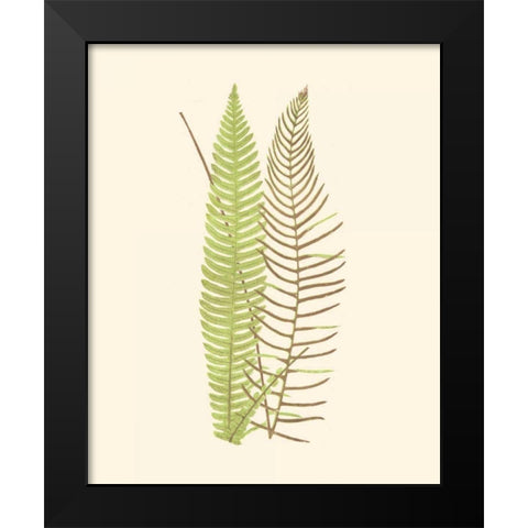 Woodland Ferns V Black Modern Wood Framed Art Print by Lowe, E. J.