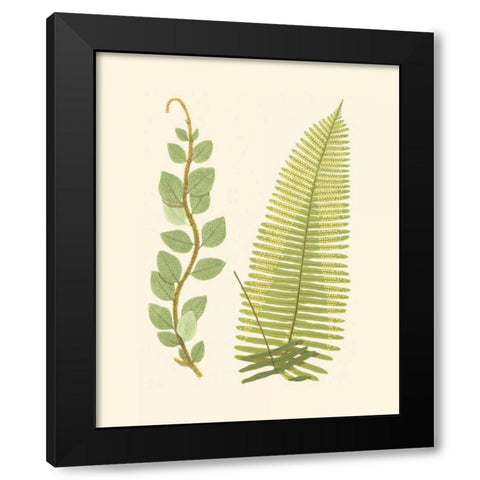 Woodland Ferns VI Black Modern Wood Framed Art Print with Double Matting by Lowe, E. J.