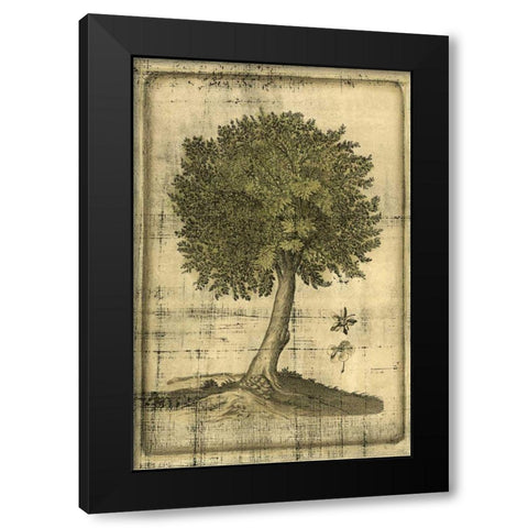 Printed Fruitful Realm I  Black Modern Wood Framed Art Print by Vision Studio