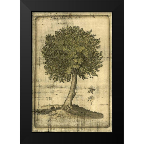 Printed Fruitful Realm I  Black Modern Wood Framed Art Print by Vision Studio